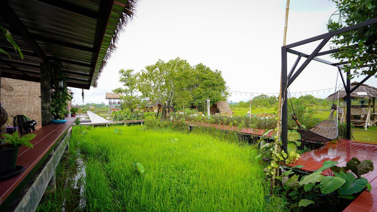 Rice Wonder Cafe & Eco Resort Rayong Exteriér fotografie