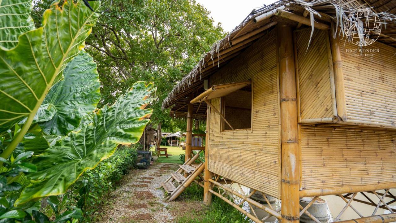 Rice Wonder Cafe & Eco Resort Rayong Exteriér fotografie
